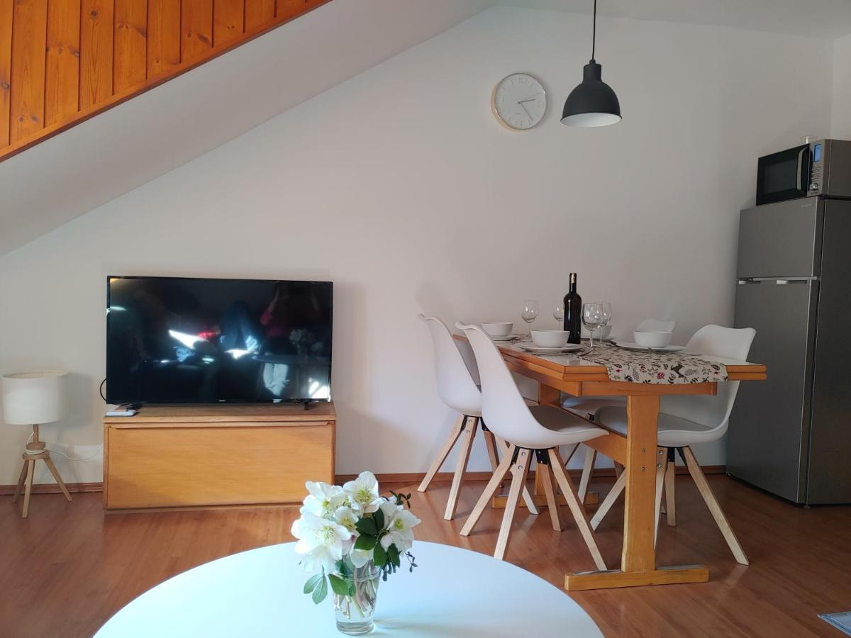 Ajda Apartment 克拉尼斯卡戈拉 外观 照片