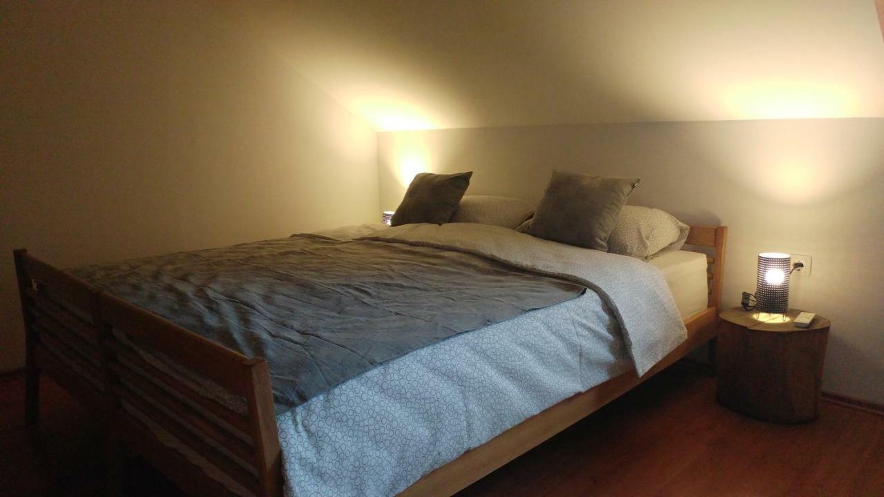 Ajda Apartment 克拉尼斯卡戈拉 外观 照片